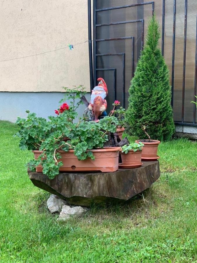 Like Home Rîşnov Exteriör bild